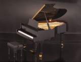 Grand Pianist the Musical Instrument (Electronic)