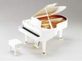 Grand Pianist the Electronic Musical Instrument
