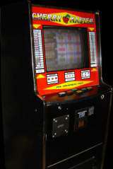 Cherry Master the Arcade Video game