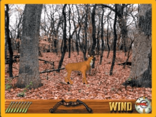 deer hunting usa arcade game rm